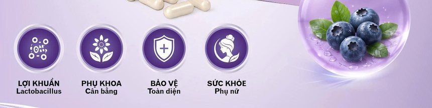 Bốn nhóm thành phần Bio Mizakey: lợi khuẩn Lactobacillus, cân bằng phụ khoa, bảo vệ toàn diện, sức khỏe phụ nữ và chiết xuất nam việt quất